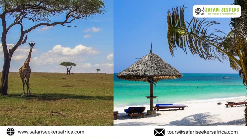 Kenya Safari and Beach Vacation