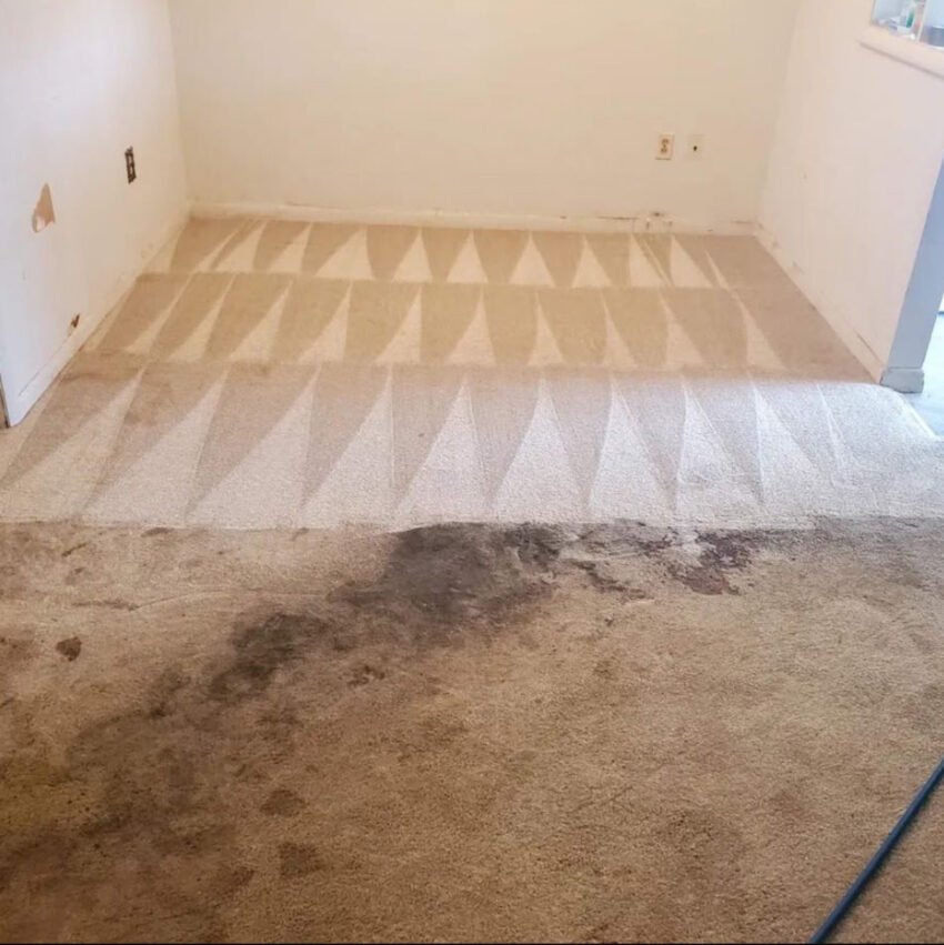 Steamly Pro Introduces Advanced Carpet Cleaning Technology to Boynton Beach Residents. Steamly Pro Introduces Advanced Carpet Cleaning Technology to Boynton Beach Residents.